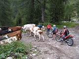 09-2014 Passo Dordona - 103